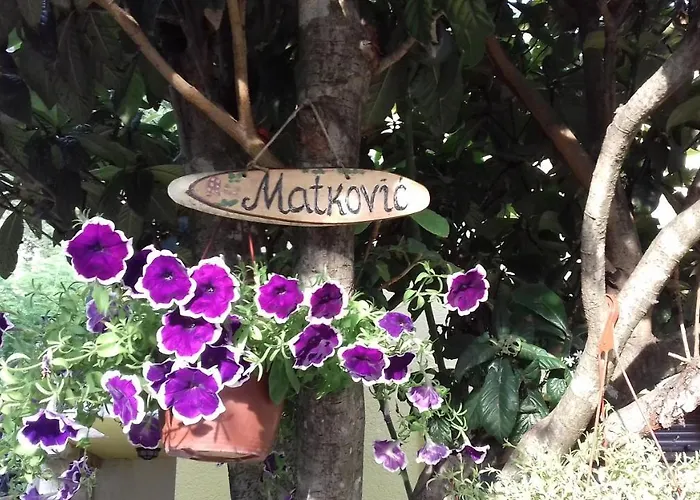 Apartments Matkovic