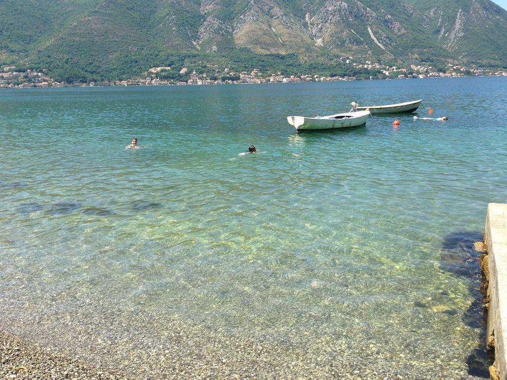 Matkovic * Kotor