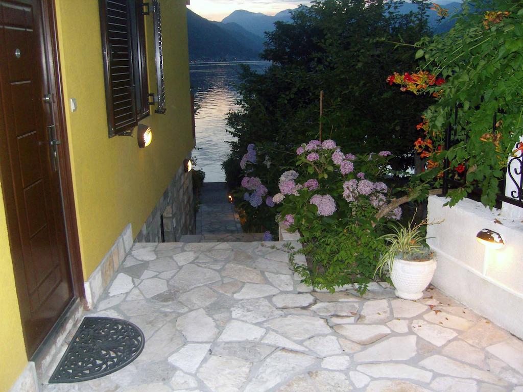 Matkovic * Kotor