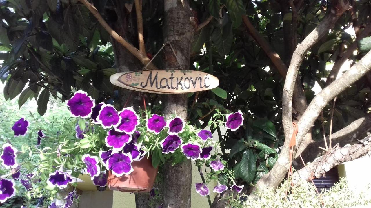 Apartment Matkovic *