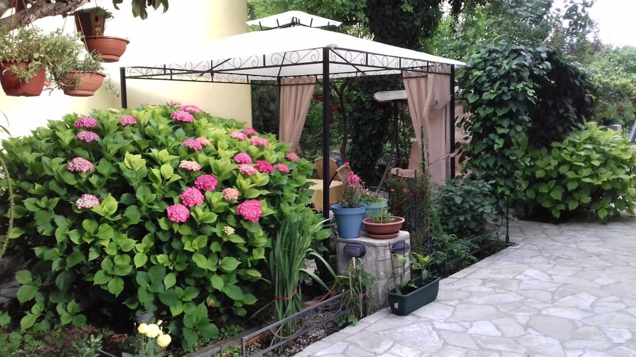 Apartment Matkovic Kotor